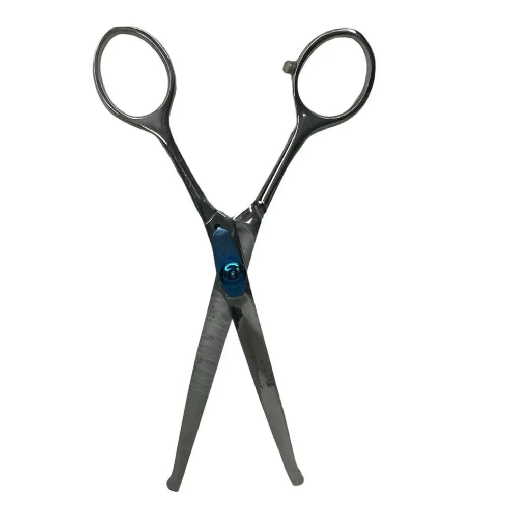 Vintage Curved Scissors With Blunt Tips